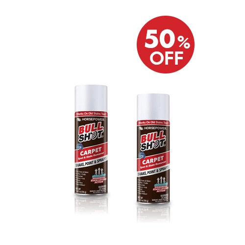 Top 5 Carpet Cleaners