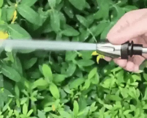 AutopulseX